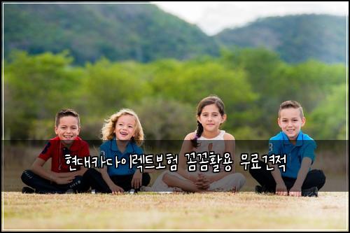현대카다이렉트보험 꼼꼼활용  무료견적