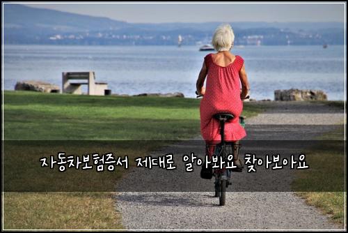 μλ차보νμ¦μ μ λλ‘ μμλ΄μ μ°Ύμ보μμ