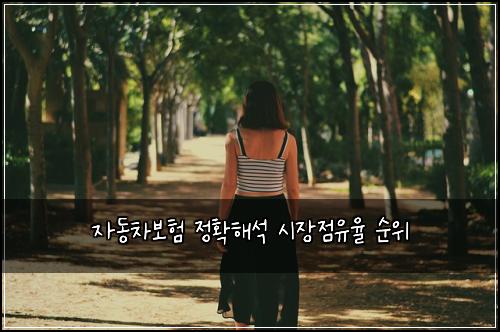 ์๋์ฐจ๋ณดํ ์ ํํด์ ์์ฅ์ ์ ์จ ์์