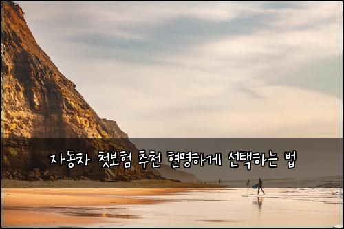 자동차 첫보험 추천 현명하게 선택하는 법