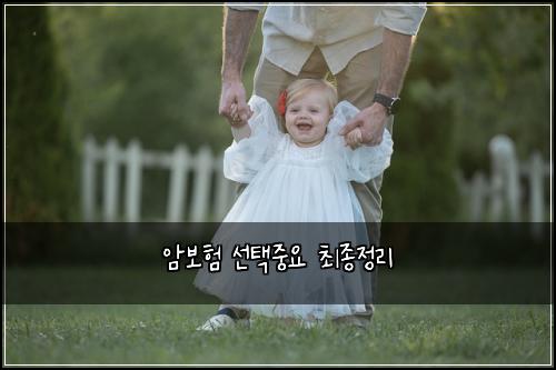 ์๋ณดํ ์ ํ์ค์ ์ต์ข
์ ๋ฆฌ