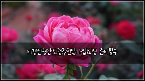 비갱신형암보험추천및가입요령 준비필수