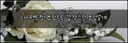 ๋ค์ด๋ ํธ์ ๊ธฐ๋ณดํ์ผ๋ก ๊ฐ์์ค๋ฐ ๋ณดํ์ค๊ณ