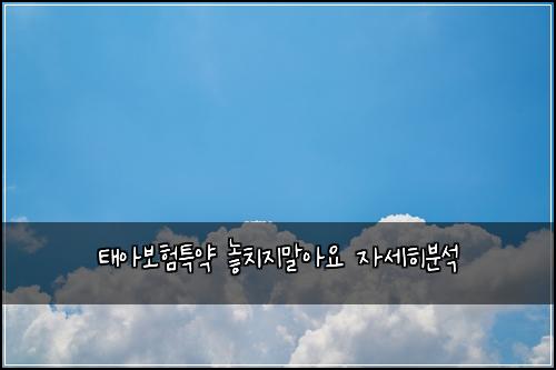 태아보험특약 놓치지말아요 자세히분석