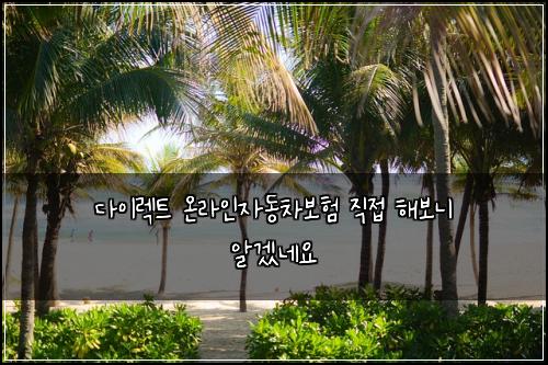 다이렉트 온라인자동차보험 직접 해보니 알겠네요