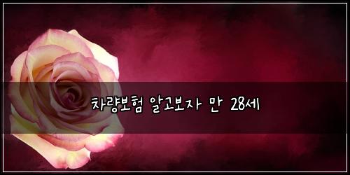 차량보험 알고보자  만 28세