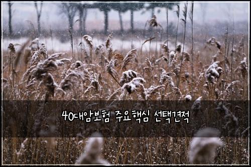 40대암보험 주요핵심  선택견적