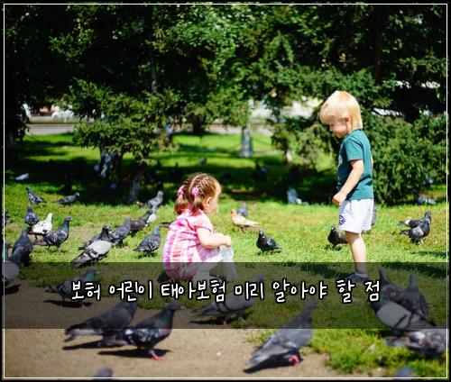 보허 어린이 태아보험 미리 알아야 할 점
