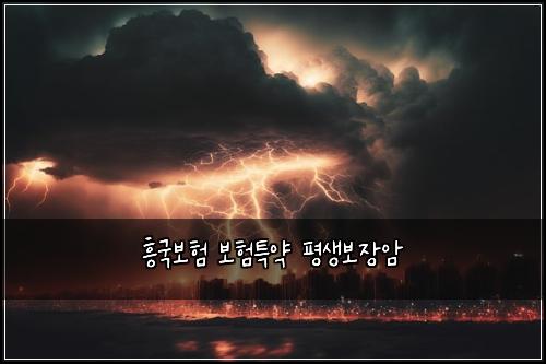 흥국보험 보험특약  평생보장암