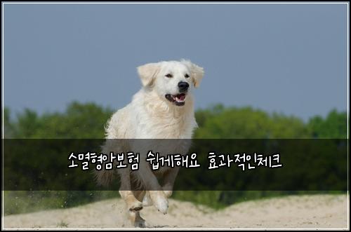 μλ©Ένμ보ν μ½κ²ν΄μ ν¨κ³Όμ μΈμ²΄ν¬