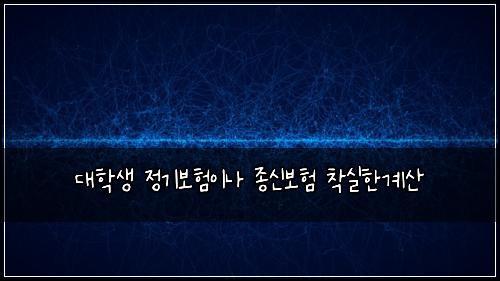 대학생 정기보험이나 종신보험 착실한계산