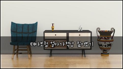 태아보험 얼마가적당  짚어보기