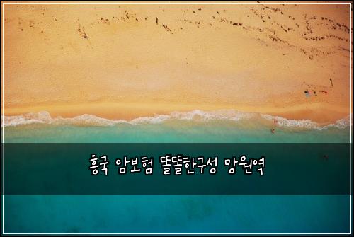 흥국 암보험 똘똘한구성  망원역