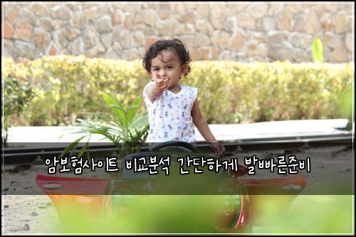 암보험사이트 비교분석 간단하게 발빠른준비