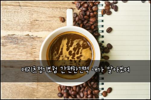 메리츠정기보험 간편한견적  내가 알아보며