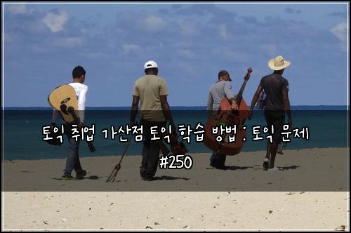 토익 취업 가산점 토익 학습 방법 : 토익 문제 #250