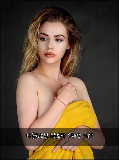 자동차보험 든든보장  손해액 계산