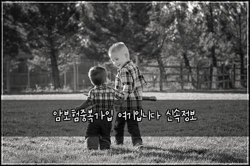 암보험중복가입 여기입니다 신속정보
