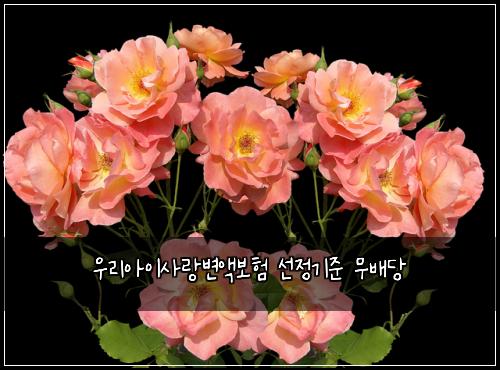 우리아이사랑변액보험 선정기준  무배당