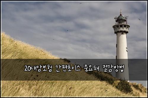20대암보험 간편초이스  중요해 절감방법