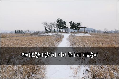 태아보험가입시기 이거 7가지 비교준비