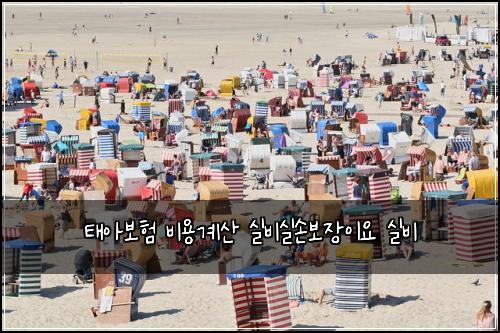 태아보험 비용계산  실비실손보장이요 실비