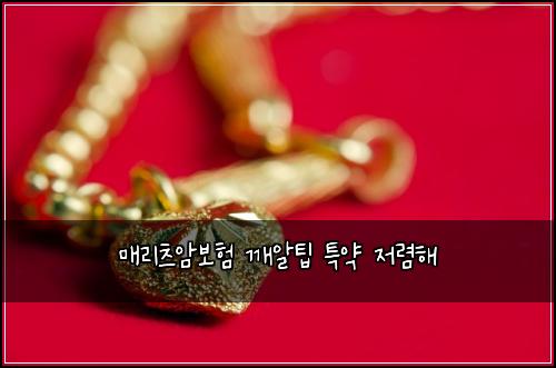 ๋งค๋ฆฌ์ธ ์๋ณดํ ๊นจ์ํ ํน์ฝ ์ ๋ ดํด