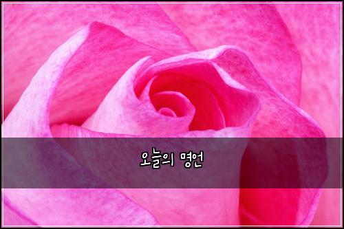 오늘의 명언