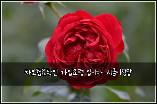 ์ฐจ๋ณดํ๋ฃํ์ธ ๊ฐ์
์๋ น ์
๋๋ค ์ง๊ธ์ด์ ๋ต