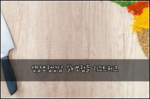 ์ฑ์๋ณดํ์๋ด ์ค๋น๋ณดํ์ ๋ฆฌ์คํธ์ฒดํฌ