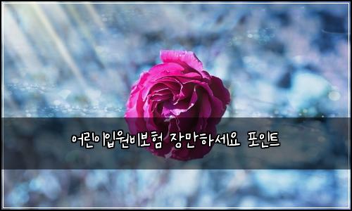 ์ด๋ฆฐ์ด์
์๋น๋ณดํ ์ฅ๋งํ์ธ์ ํฌ์ธํธ