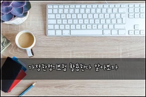 ๊ฐ์ฅํ์ ๊ธฐ๋ณดํ ํ์ฉํ๋ค ์์๋ณด์