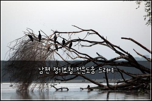 ๋จํธ ์ ๊ธฐ๋ณดํ ์ ๋ฌธ๋์ ๋๋ ค์ฌ