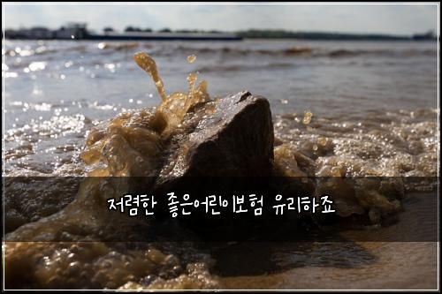 ์ ๋ ดํ ์ข์์ด๋ฆฐ์ด๋ณดํ ์ ๋ฆฌํ์ฃ