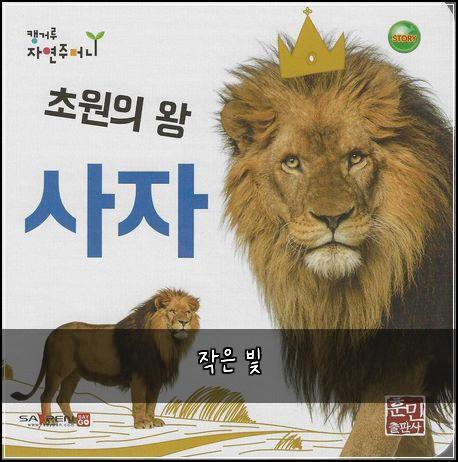 작은 빛