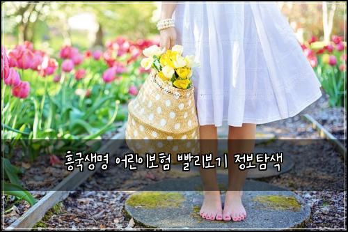 흥국생명 어린이보험 빨리보기  정보탐색