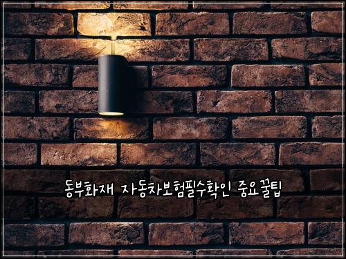동부화재 자동차보험필수확인 중요꿀팁