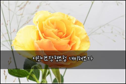 어린이보장형보험 대비해보자 