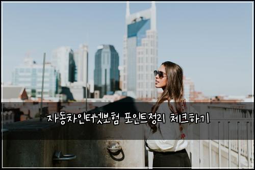 자동차인터넷보험 포인트정리  체크하기