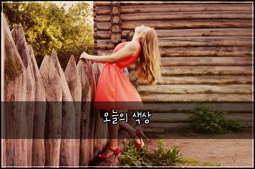 오늘의 색상