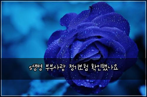 s생명 부부사랑 정기보험 확인했나요 