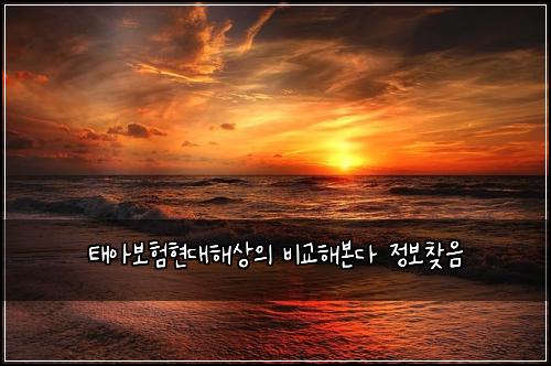 태아보험현대해상의 비교해본다 정보찾음