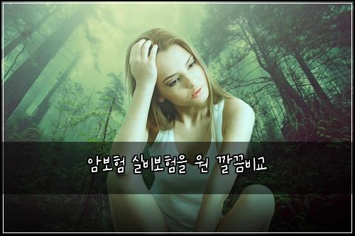 암보험 실비보험을 원 깔끔비교
