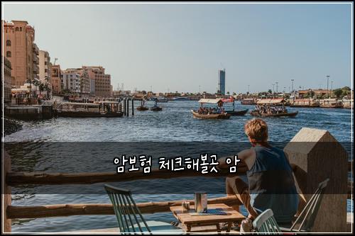 암보험 체크해볼곳  암