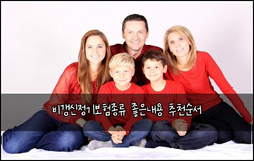 비갱신정기보험종류 좋은내용 추천순서