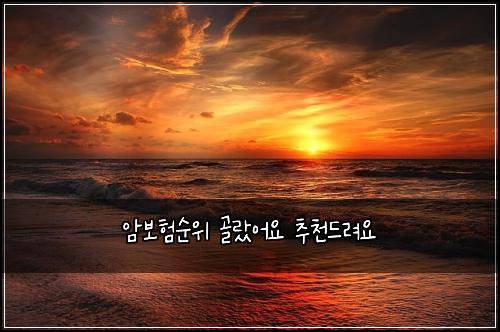암보험순위 골랐어요 추천드려요