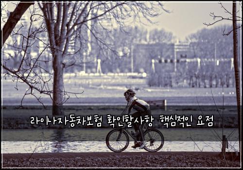 라이나자동차보험 확인할사항  핵심적인 요점