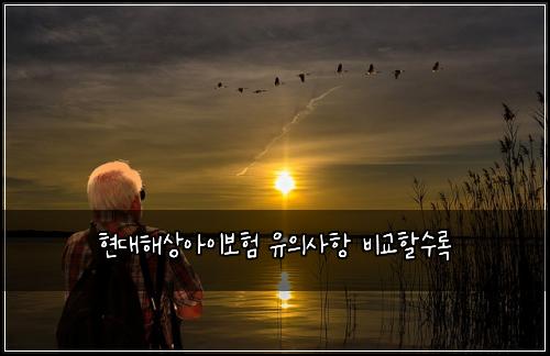 현대해상아이보험 유의사항  비교할수록