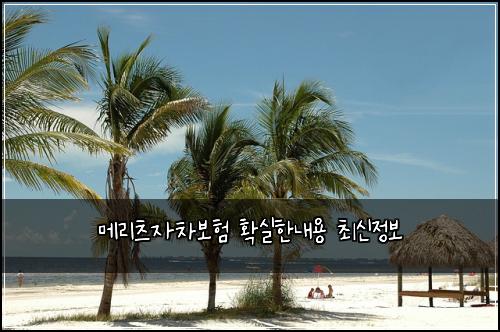 메리츠자차보험 확실한내용  최신정보