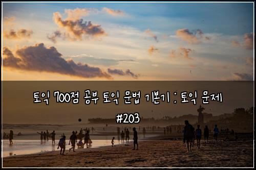 토익 700점 공부 토익 문법 기본기 : 토익 문제 #203